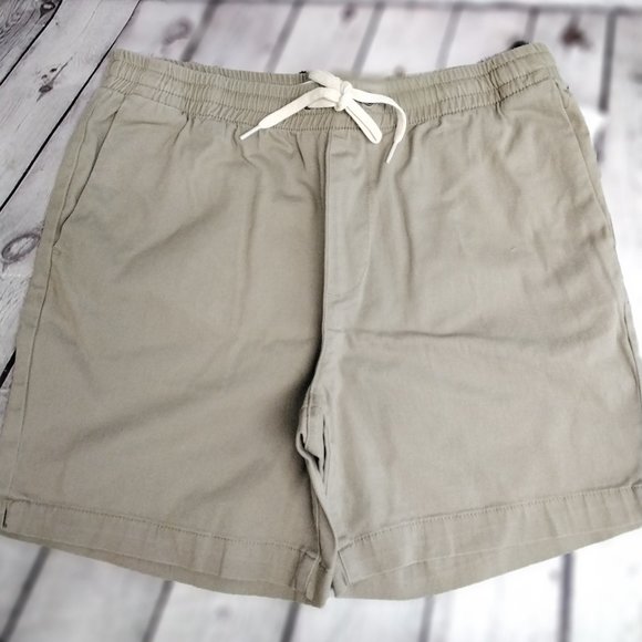 PacSun | Shorts | Pacsun Mens Volley 